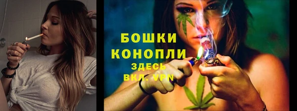 spice Вязьма