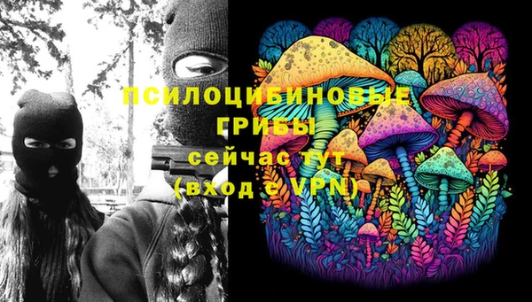 прущие грибы Алапаевск