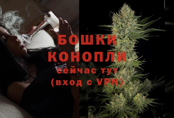 spice Вязьма