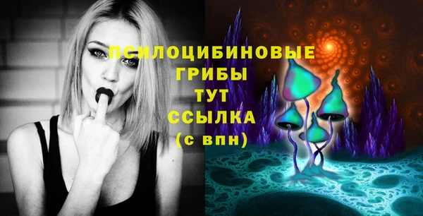 Альфа ПВП Вязники