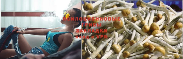 Альфа ПВП Вязники